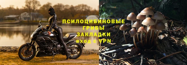 стафф Богородицк